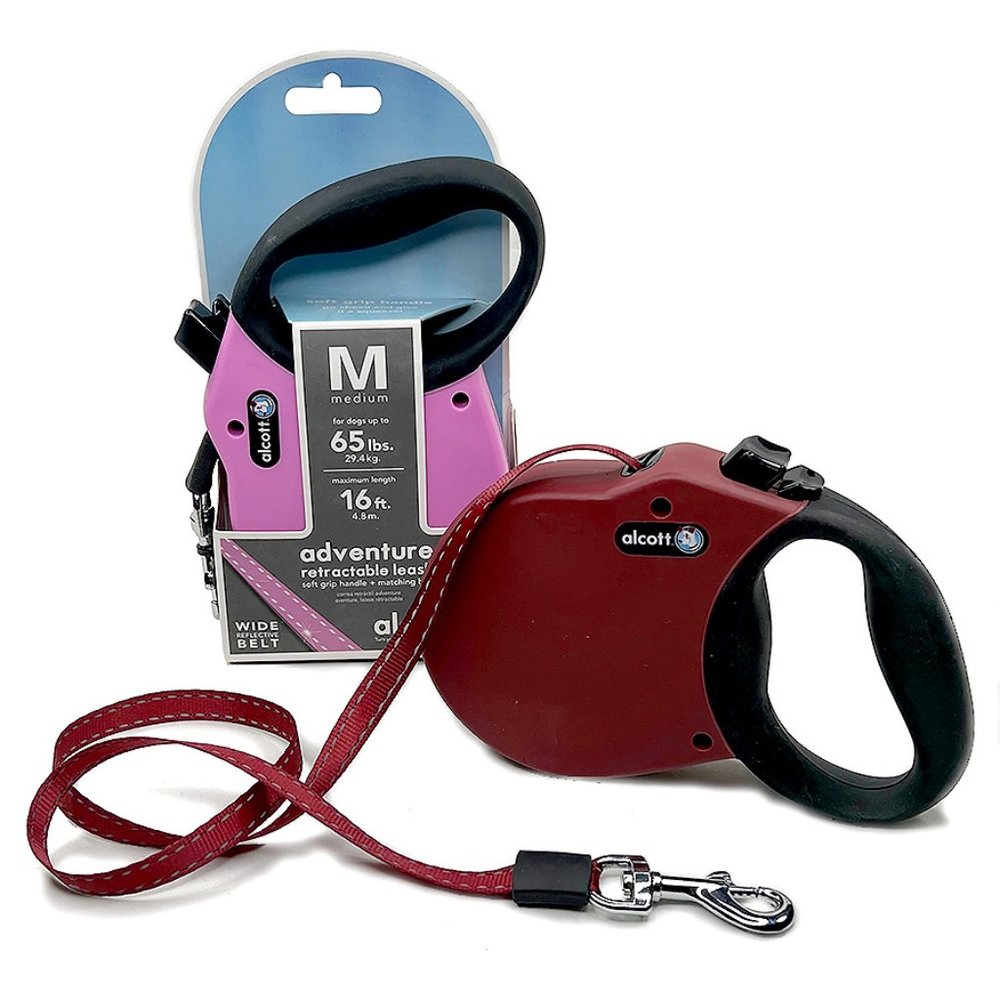 Retractable Leash, Medium